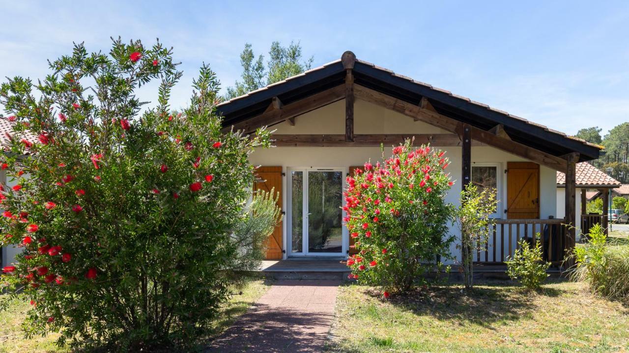 Holiday park Vacanceole - L'allee Des Dunes -